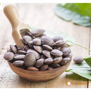 HẠT SACHI DAKLAK Loại 1