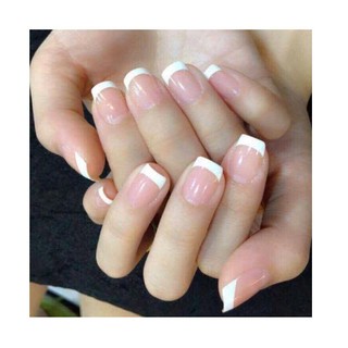 Cọ Fen Đầu Móng Số 8 - Lẻ 1 Cái