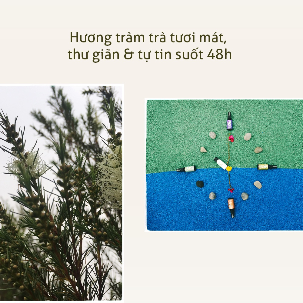 Xịt Khử Mùi Hôi Chân Tràm Trà The Fleura, Ngăn Mồ Hôi Chân, Khử Mùi Hôi Giày Và Vớ An Toàn và Hiệu Quả