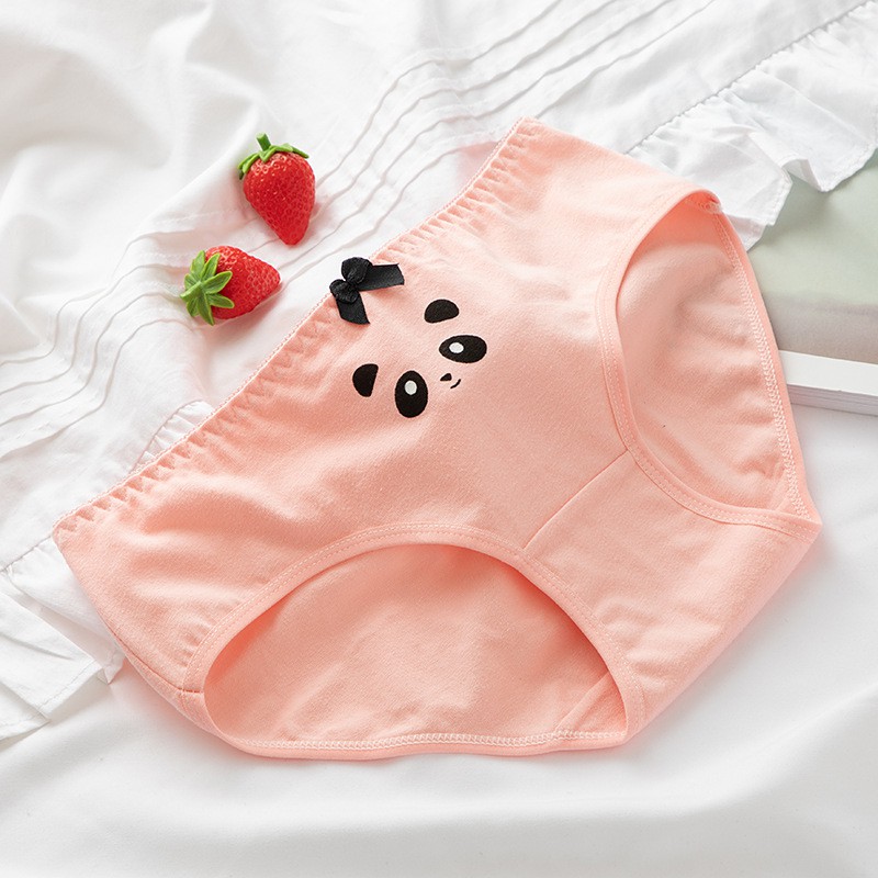 [ SIZE 38 đến 48KG] Quần Chip Cotton Dễ Thương Cute - Cotton Co Dãn Thoải Mái - Dễ Dàng Giặt - Không Phai Màu - Không Xù