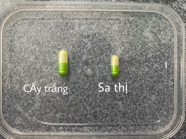 Lẻ 1 viên cấy trắng K-white