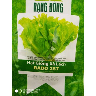 Hạt giống xà lách 10gr❤️freeship xtra❤️