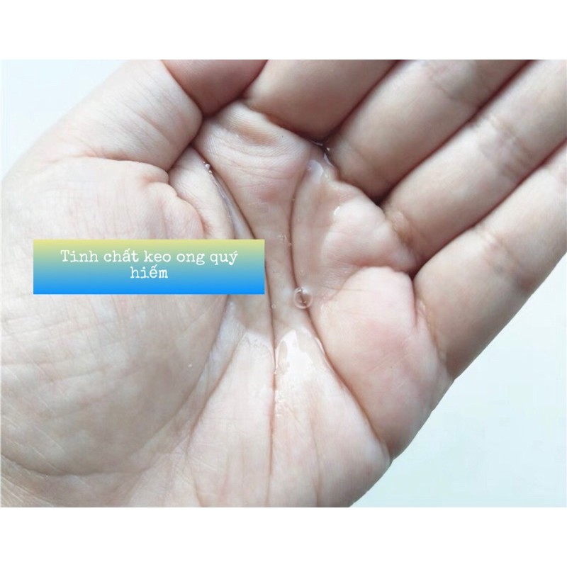 TINH CHẤT KEO ONG XANH CNP GREEN PROPOLIS ANTI OXIDANT AMPULE CHỐNG LÃO HOÁ 1ML | BigBuy360 - bigbuy360.vn