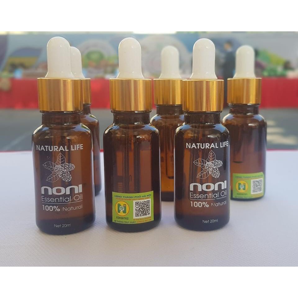 TINH DẦU TRÁI NHÀU - NONI OIL | BigBuy360 - bigbuy360.vn