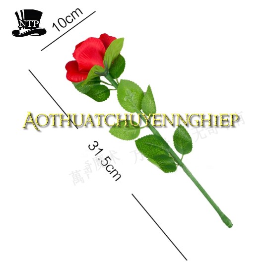 Ảo thuật hoa hồng hồi sinh  loại cao cấp mẫu hoa đẹp bung mạnh chuẩn