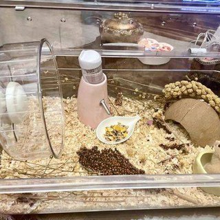 ✣lồng nuôi hamster 2 tầng size 28 x 21 x 30✪