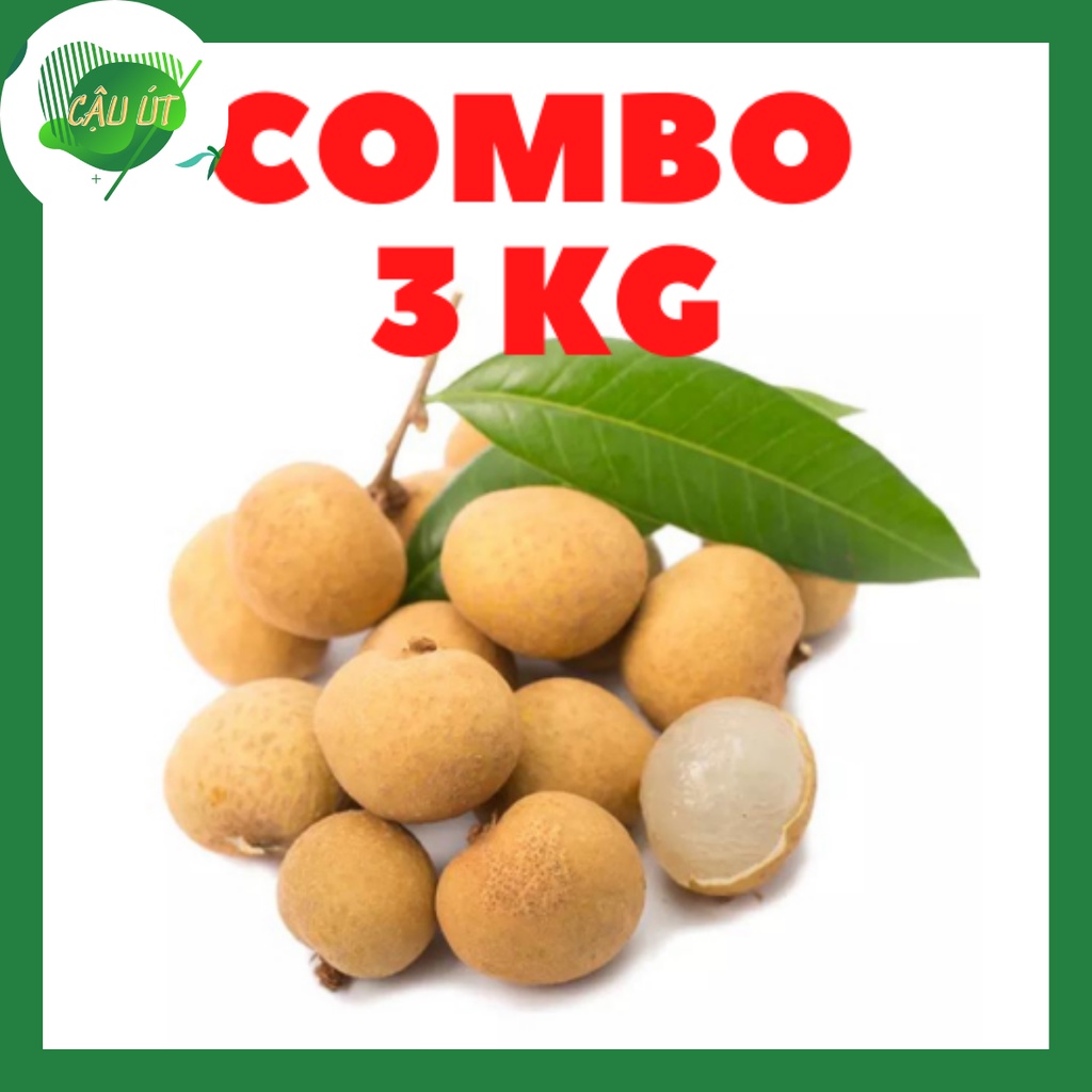 [COMBO] 3KG Nhãn Ido Cơm dày hạt lép
