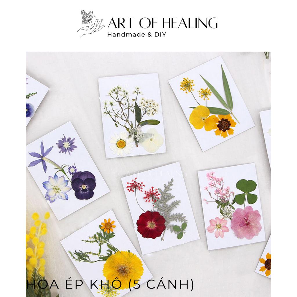 Set hoa ép khô các loại trang trí nến, resin, sổ tay, decor - 5 cánh  - Handmade & DIY
