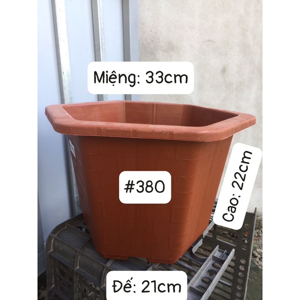 5 CHẬU NHỰA LỤC GIÁC MÃ #380 (DỊCH TRUYỀN CỨU CÂY, KÍCH RỄ MẦM CÂY, BẦU KHAY TÚI ƯƠM..)