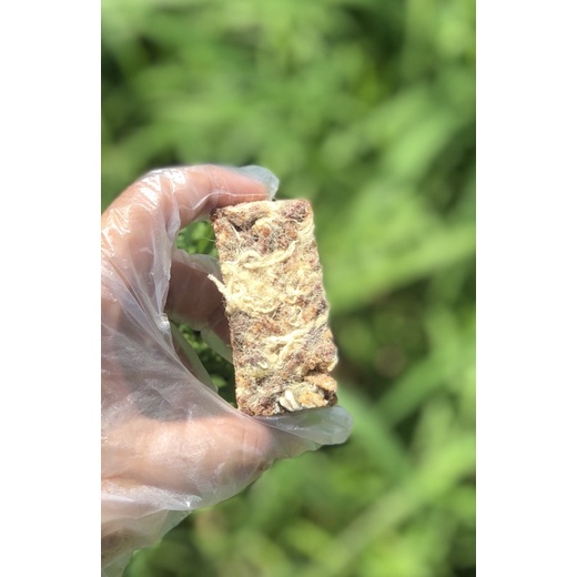 1 THANH GẠO LỨT RONG BIỂN HẠT DINH DƯỠNG CHÀ BÔNG (hàng dùng thử)