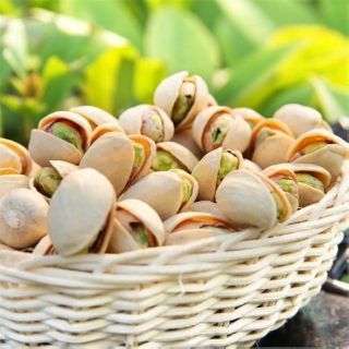 500gr hạt dẻ cười Pistachio Mỹ