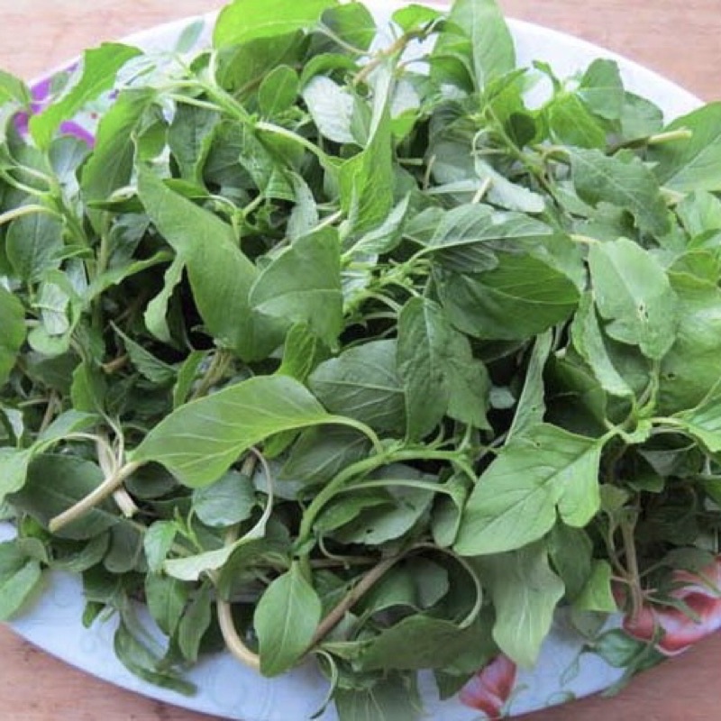 Hạt Giống Rau Dền Cơm F1