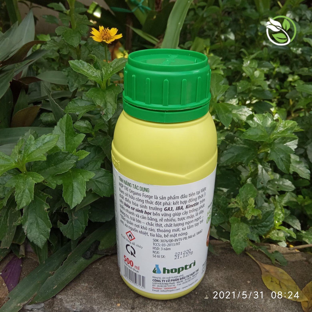Phân Bón Hữu Cơ Điều Hòa Sinh Trưởng Organo Forge  -  Chai 250ml -500ml