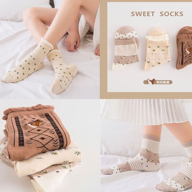 Set 3 Đôi Tất cổ cao Bivota vớ nữ hoa nhí hinh sóc siêu cute T95