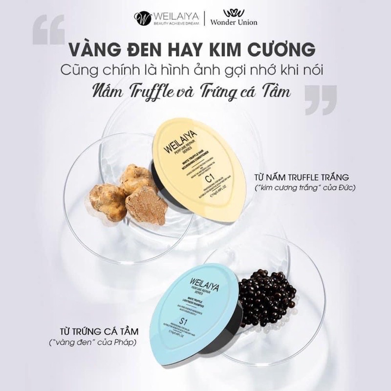 [Set Mini]Set dầu gội xả phục hồi đa tầng nấm Truffle Weilaya B