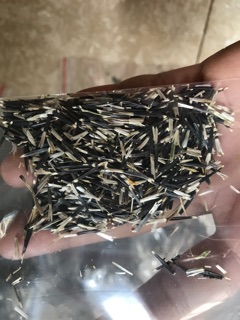 Gói 1000 hạt giống Vạn Thọ Pháp