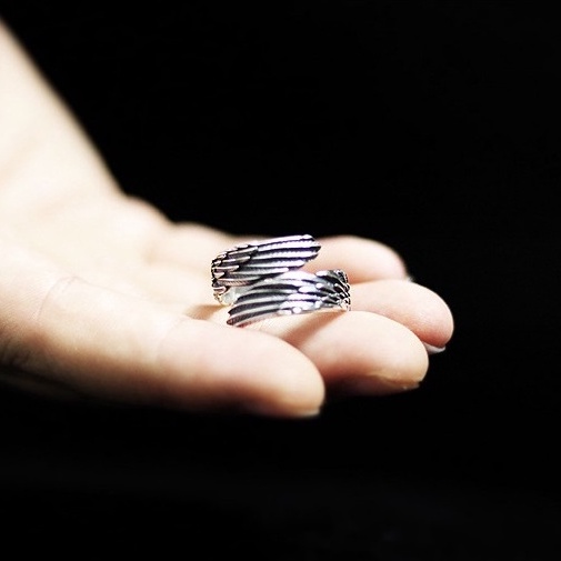 Nhẫn Nam Bạc Đẹp Cá Tính Unisex HipHop Basic Ngầu Trơn Nam 2W Ring LuciferStore Nhẫn Họa tiết Đôi Cánh Titan Không Gỉ 2W