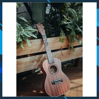 Đàn Ukulele Concert 23inch Music