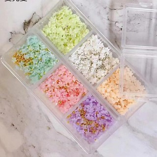 Set hoa nhí mix màu 6 ô, trang trí nail