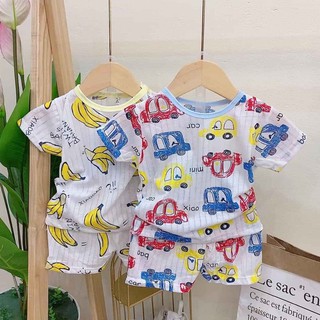 BỘ CỘC TAY COTTON GIẤY CÀI VAI