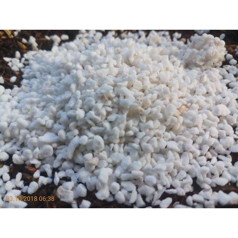 Đá perlite 1l nhập khẩu, đá khoáng chuyên dụng trộn giá thể sen đá xương rồng, giúp đất tơi xốp dễ thoát nước