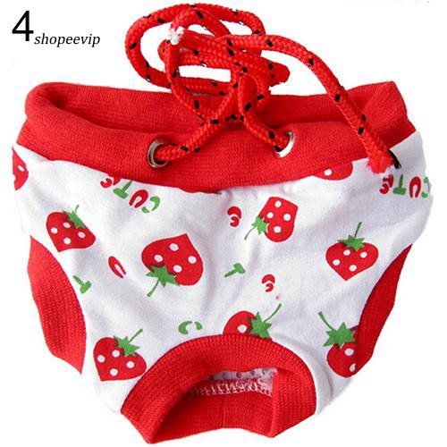 Quần tã dây rút ngắn vệ sinh sinh lí thiết kế dâu tây đáng yêu cho cún cái trang trí tết