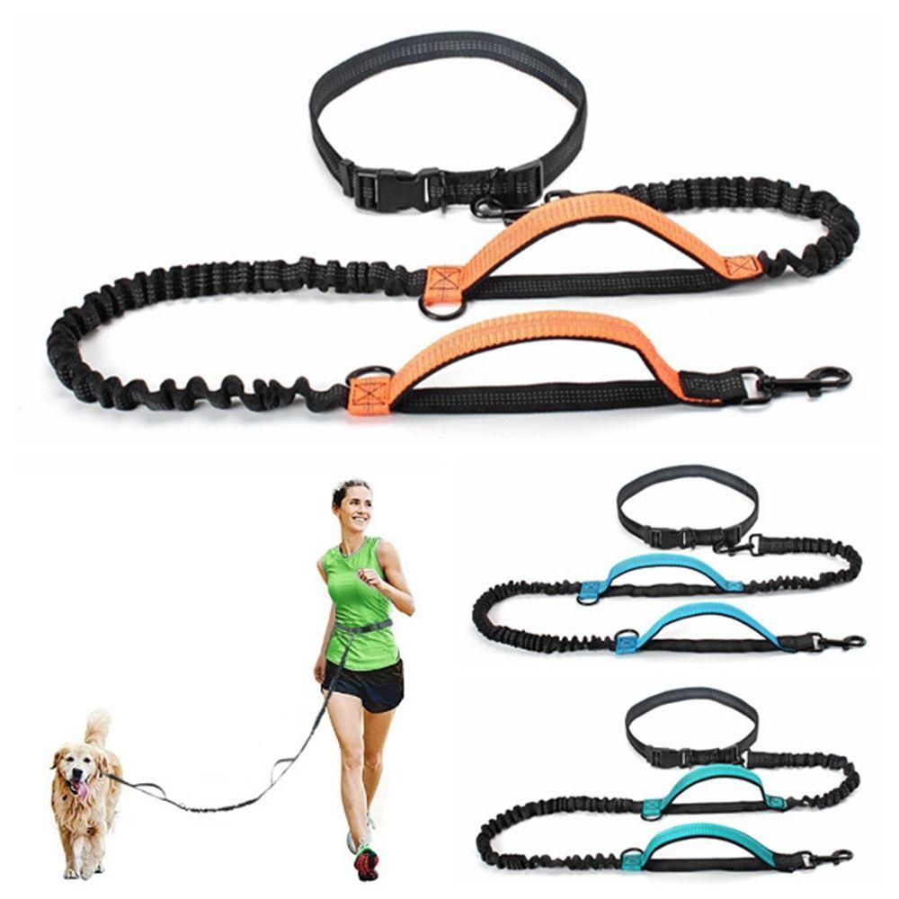 Dây Dắt Thú Cưng Đi Dạo Có Thể Điều Chỉnh Kích Thước AUGUSTINA