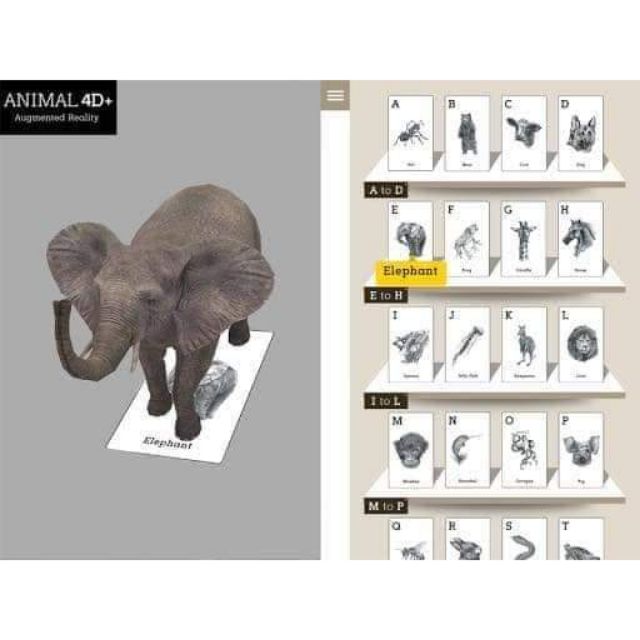 Thẻ học animal 4d
