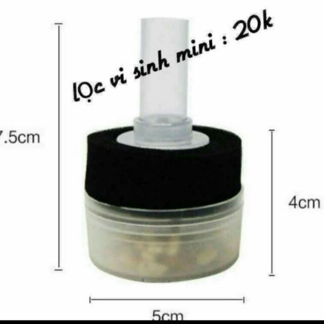 Bể cá ,Bể đúc 2 cạnh uốn siêu nhỏ để bàn , mẫu C1 và C2