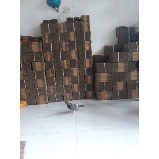 60 hộp carton 20x10x10 cm
