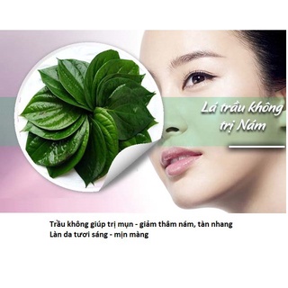Bột lá trầu không nguyên chất Tấn Phát