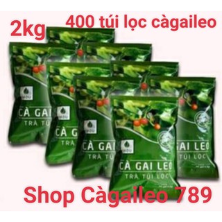 2kg cà gai leo túi lọc Sadu