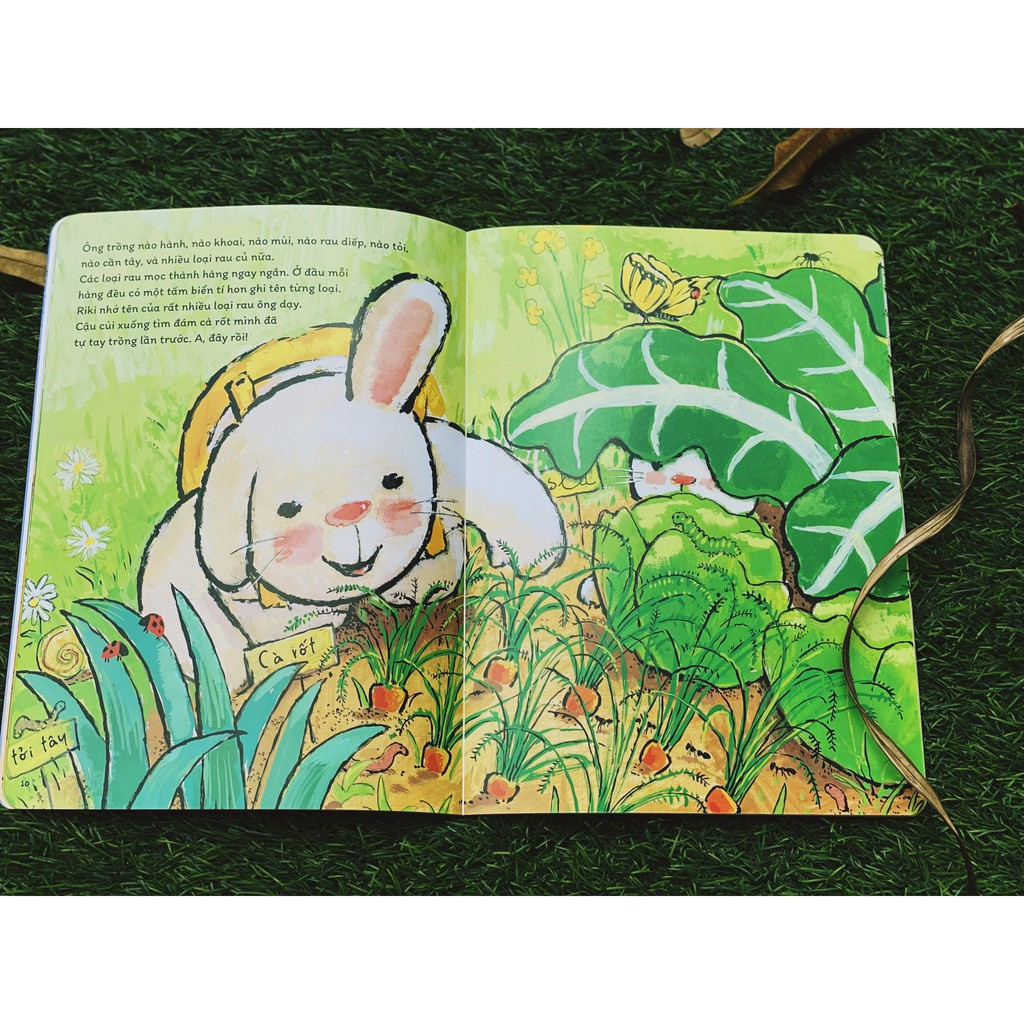Sách - Bộ Chuyện về chú thỏ cool nhất Hà Lan - Thỏ Riki (05 cuốn) - Nhã Nam HCM