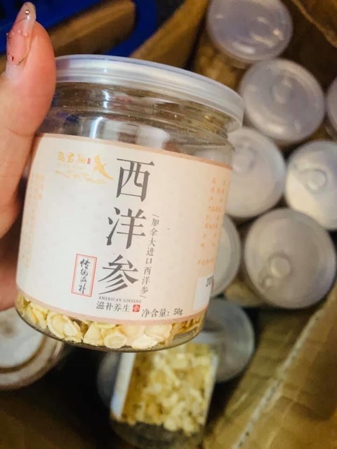 Sâm Tây Dương - Sâm Canada