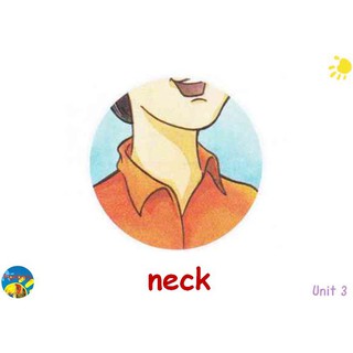 Flashcard Fingerprints 3