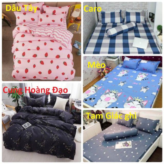 Bộ ga chun kèm 2 vỏ gối poly cotton ( 1m6 x 2m - 1m8 x 2m) giá tốt