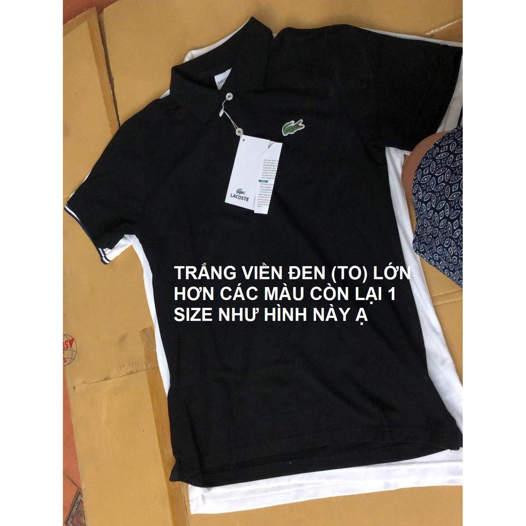 (SALE) ÁO THUN POLO NAM LACOSTE HÀNG VNXK - HÌNH THẬT