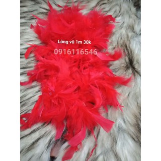 lông vũ chụp ảnh nail