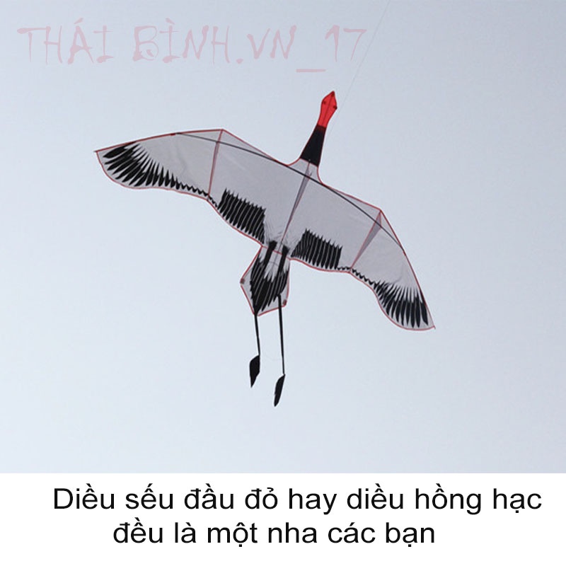 DIỀU SẾU ĐẦU ĐỎ - DIỀU HỒNG HẠC 2 MÉT