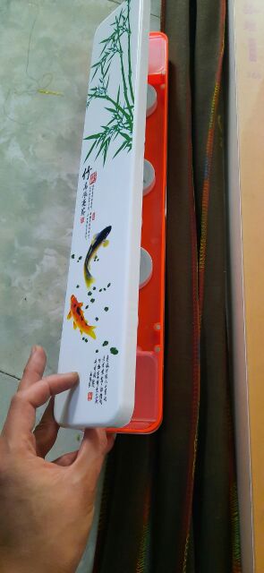 Hộp phao đài 3 ngăn 45cm và 55cm, cần câu ca