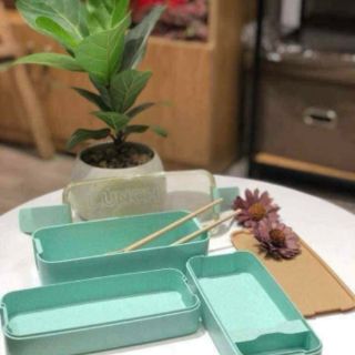 Hộp Cơm Lúa Mạch
