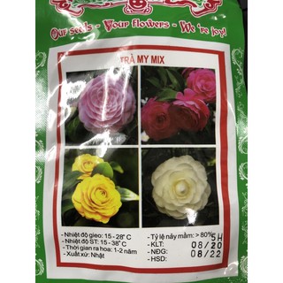 Hạt giống hoa Trà My Mix 💐