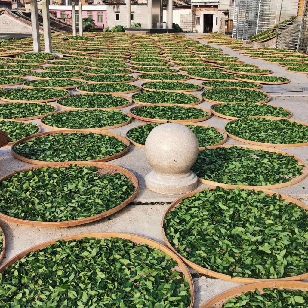 Trà Thiết Quan Âm An Khê Hảo Hạng Đóng Hộp (250 gram)