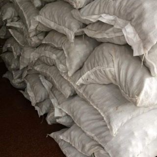 Cobo 5kg óc chó
