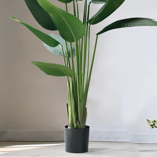 Cây chuối giả 2m