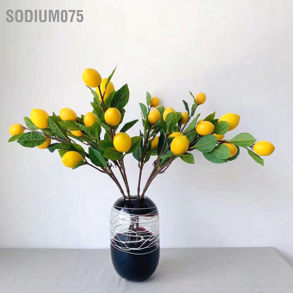 Có thể bán buôn Cành chanh nhân tạo vàng 65cm dài Lá cây xanh cho phòng khách Trang trí mô hình Sodium075 Hàng giao ngay