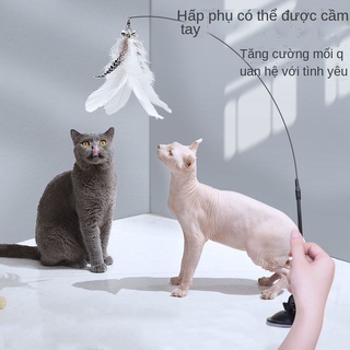 LCốc hút lông mèo ngộ nghĩnh que có chuông dài chống cắn đồ chơi tự phục hồi tạo tác nhàm chán con và
