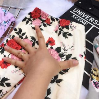 Combo Quần cotton cho bé - e dung