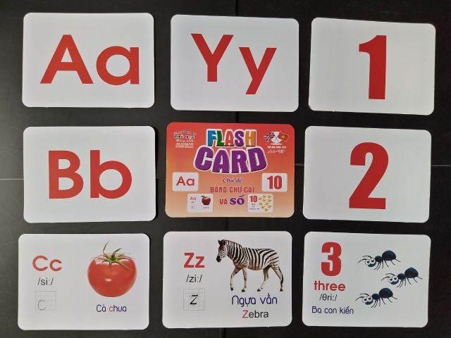 (XẢ KHO) BỘ THẺ HỌC THÔNG MINH SIZE TO GỒM 18 CHỦ ĐỀ TỔNG 288 THẺ SONG NGỮ IN 2 MẶT #8