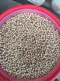 Đậu tương ( đậu nành ) 1kg